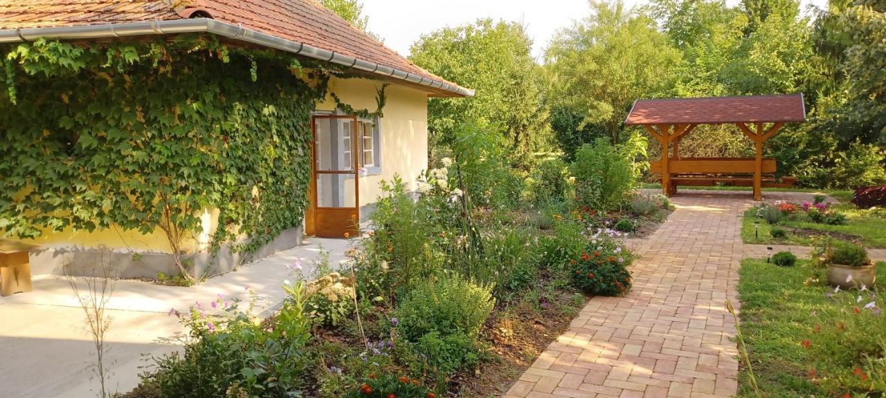 Hungarian Farmhouse Zakanyszek Esterno foto