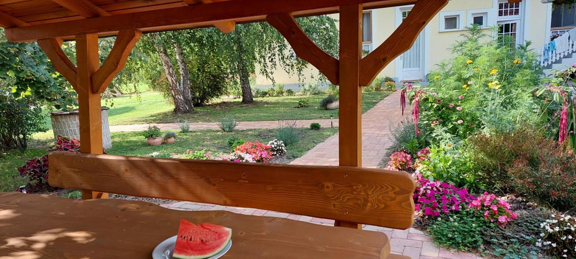 Hungarian Farmhouse Zakanyszek Esterno foto